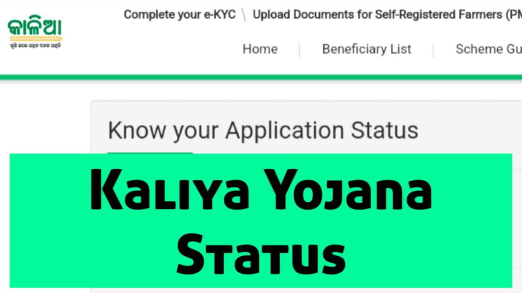 Kalia Yojana Status 2022